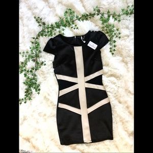 NWT Windsor Black White Stripe Accent Mini Dress